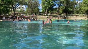 Saving our Springs: How pollution, pumping and people are destroying Florida's freshwater treasures