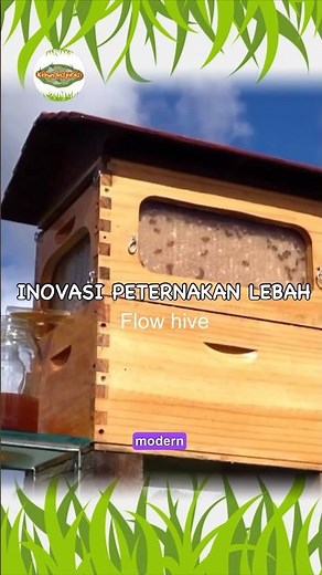 Inovasi peternakan lebah #pertanian #peternakan #inovasi #teknologipertanian