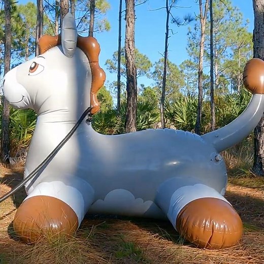 Dreamy the Donkey Ride-On Inflatable Bouncer from Horseplay Toys