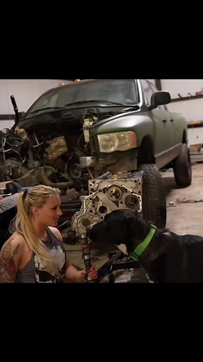 The Diesel Queen on TikTok