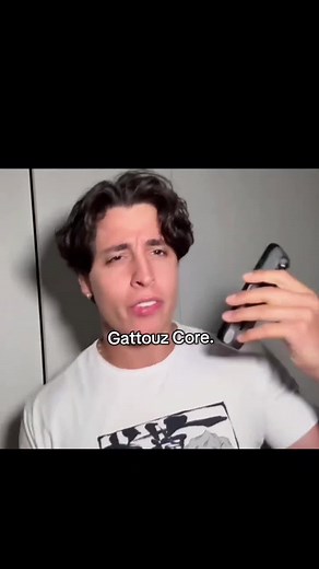 Gattouz Core: Explore the Essence of Gattouz