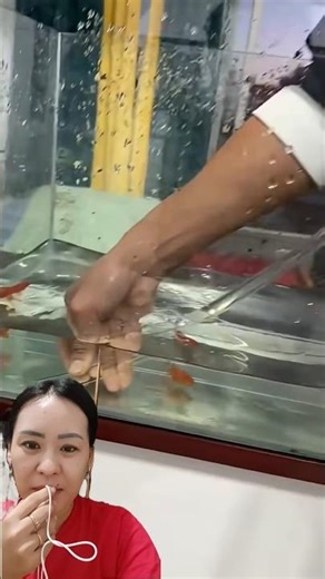 Move the Fish ⁉️ Why Use a Hose 😱