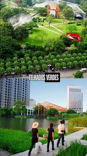 Cities that drink rain? Meet sponge urbanism!