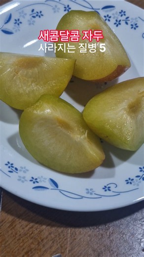 놀라운 자두 효능들 5 #건강 #food #음식 #건강정보 #살림팁