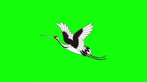 Download stork animation on green screen background for free