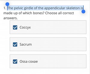 The pelvic girdle of the appendicular skeleton is made up of wh... | Filo