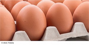 Eier: Alles zu Lagerung und Haltbarkeit | Verbraucherzentrale.de