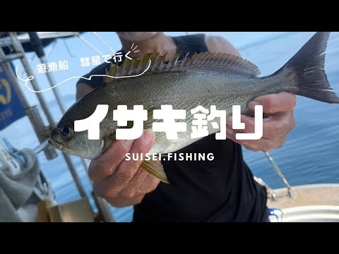 #6【イサキ】イサキ釣りの様子をご紹介‼︎