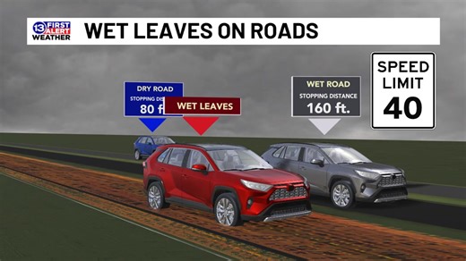 12K views · 45 reactions | Did you know wet leaves can more than triple your stopping distance? We love our fall colors, but leaves on the roads can impact travel conditions. | 13abc | Facebook