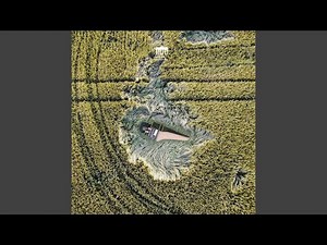 Triple Concerto in A Minor, BWV 1044: III. Alla breve