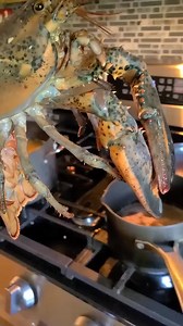😨😨😨😨 #seafood #Alive #cooked #sealife #boiling | Seafood Heaven