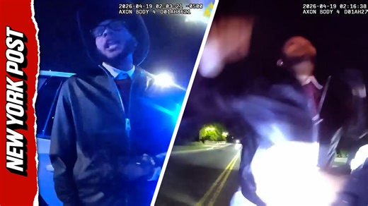Watch moment suspect attacks police officer after being pulled over