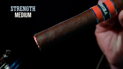 General Cigar released the Cohiba Rubicon series last year. Every size retails for less than $10 each. This wasn't the first wallet-friendly, non-Cuban Cohiba, but the line was certainly welcomed from consumers worrying about rising cigar prices. Just months before, early in the summer of last year, General debuted Cohiba Spectre, with a sticker price of $150. Consider the Rubicon line as a concession to price-conscious consumers. The Gigante perhaps offers the best bang for your buck. It has a 