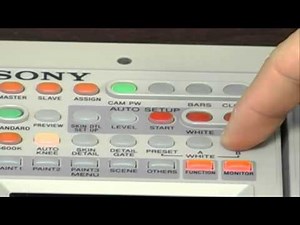 CCU (Camera Control Unit)