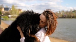 Smiling Woman Hugging Tibetan Mastiff Dog Stock Footage Video (100% Royalty-free) 1092948141 | Shutterstock
