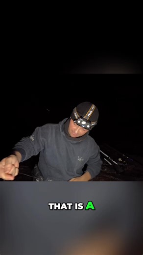 Fishing Tips for Beginners: First Cast Success