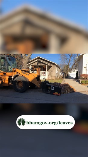 As you take your trash and recycling to the curb this week this week, please don’t place your refuse containers, recycling bins and yard waste bags in the street, where they interfere with the city’s leaf collection and street sweeping. Instead, place your containers on the grass or on your driveway approach next to the curb, street edge or cape seal, depending on the type of road you live on. If you live on a road with curbs, please don’t park your vehicle in the street either, until after DPS 