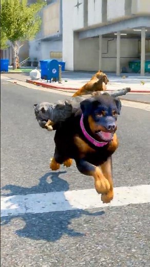 GTA 5: Chop & Trevor Team Up For The Most HEARTWARMING Cat Rescue 🐔😱 #shorts