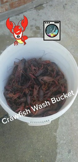 DIY Crawfish Washer Tutorial - Easy & Affordable Method