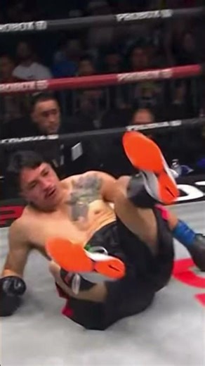 Recap from ‪@ProBoxTV‬ #boxing #boxingnews #boxinghighlights #boxingworkout #knockout #shorts