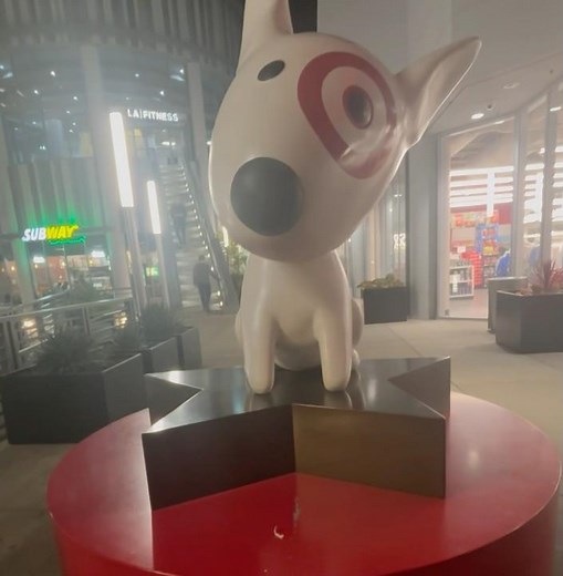 Target Dog Mascot on Hollywood Walk of Fame at Hollywood Boulevard 2/9 #target #hollywood