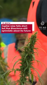 11K views · 190 reactions | Rua Bioscience has survived an urgent capital raise to address a $3.1 million cash shortfall and, with increased export sales on the horizon, expects to achieve profitability within the next 18 months, with support from its shareholders. The doors of this medicinal cannabis company will remain open as it fights to turn a profit. #aotearoa #ruabioscience #teaomāori #medicalcannabis #tetairāwhiti | Te Ao Māori News | Facebook