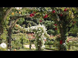 Rose Garden 🌹 Jardin de Bagatelle Romantic allure 4K May 2021
