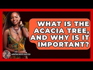 What Is The Acacia Tree, And Why Is It Important? - African Roots And Routes