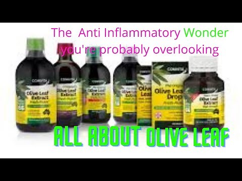 The Amazing Benefits of Olive Leaf Extract