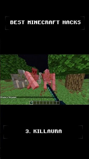 best minecraft cheats (i dont promote any hacks) #minecraft #gaming #memes #minecraftshorts