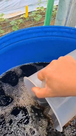 114K views · 2.3K reactions | The Secret Behind Fast Recovery, Combining Herbs and Probiotics the Right Way #broilerchickens #agriculture #organicfarming #healthychicken #farming #poultry #poultryfarming | Poultry Tips | Facebook