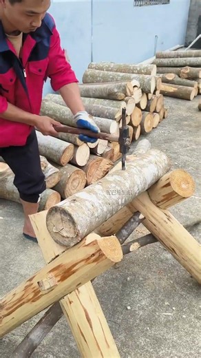 There are very few people who know how to plant fungus and punch holes. Log planting tips. Tradi