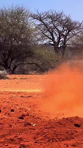 3.3K views · 58 reactions | Pack your bags and start your Big Five hunt with this big Cape Buffalo Bull 朗...#africanwildsafaris #leadwoodranch #buffalo #daggabull #bigfive #huntingseason #hunting #Capebuffalo | African Wild Safaris | Facebook