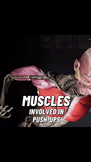 16K views · 367 reactions | A bodyweight push-up engages multiple...