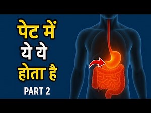 Digestive System Complete Explanation | पाचन तंत्र हिंदी में