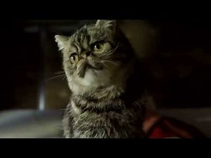 Animals (Cars) Part 7 - Where's Paddington?