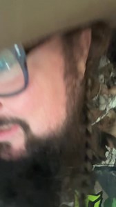 Sundance Head on Reels