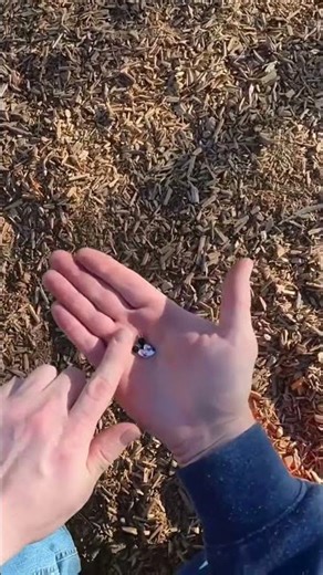 I found MICKEY MOUSE w/ Nokta Simplex LITE #metaldetecting