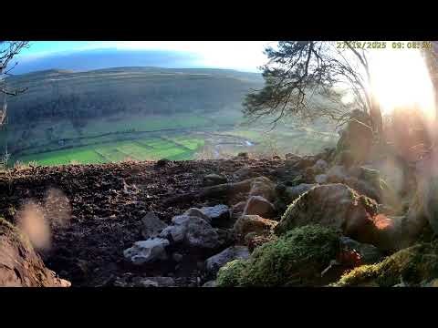Upper Wharfedale: Mangalitza Pigs🌙26/12/25