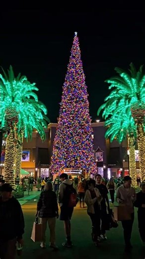 Citadel Outlets !!! #citadel #christmas #chritmastree #christmasdecor #shorts #viralshorts