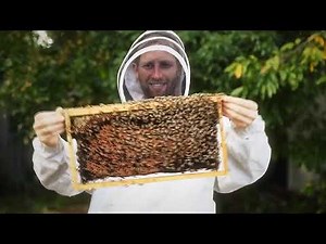 CNN/Rolex Call to Earth commercial - featuring A Better Tomorrow - Victoria Renée