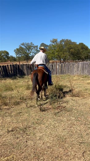 First ride on the new filly! | Brett Wright