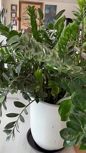 1.7K views · 21 reactions | Designs That Inspire  The store has been revamped!! Come see for yourself.. 3704 N Western Ave Oklahoma City, OK 405-521-0012 | K&N Interior Consignment | Facebook