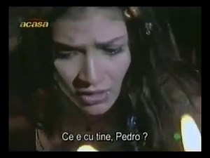 Perro Amor Colombia 85 (Completo)