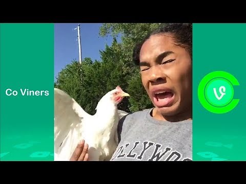 Top 100 Quensadilla Vines (w/Titles) Funny Quensadilla Vine Compilation 2018