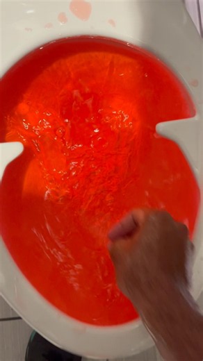 Kohler wellcome ultra with bedpan lugs toilet siphoning out with red water!!!