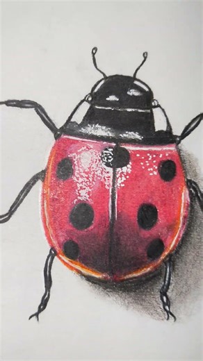 How to Draw a Ladybug | Realistic 3D Art Tutorial
