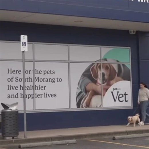 Give your new pet the best start in life with a thorough check-up from our expert vet team. Book now 🩺🐾 T&Cs apply. | Petstock