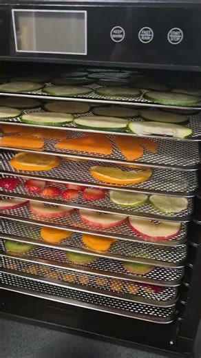 Food dehydrator- First time. #heathyrecipes #healthysnacks #fooddehydrator #homegardening #garden