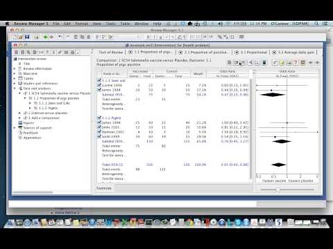 Changing settings in REVMAN.mp4